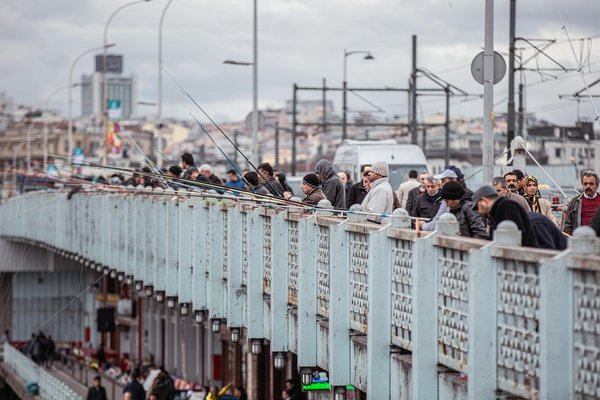 Gérez les dépenses de santé pour votre chien efficacement