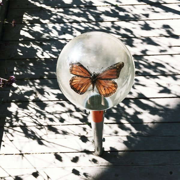 Comment fabriquer un abri à insectes avec des matériaux naturels ?